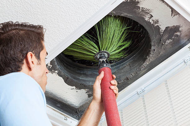 Air Duct Mold Removal in Liberty, MO